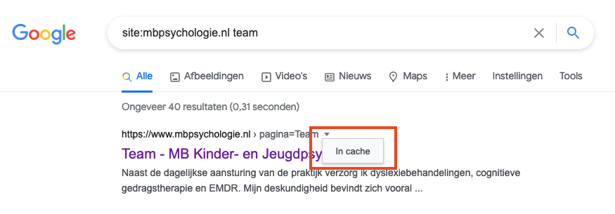 Zoek gecachete pagina in Google