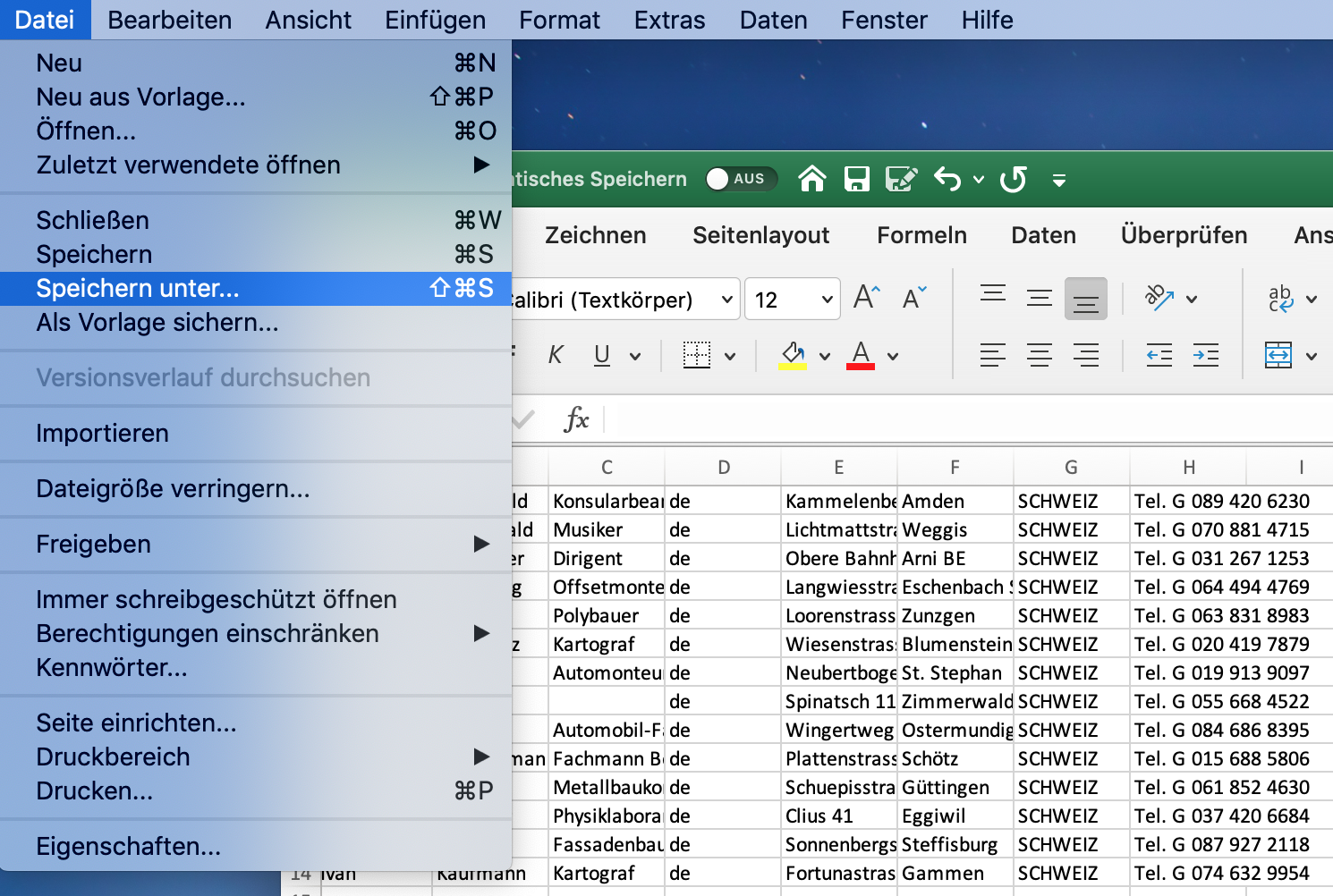 Excel speichern