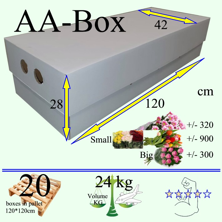 Сколько цветочков поместится на верхний. Размеры коробок для цветов. Коробки для цветов Размеры. Размер коробки АА. Размер коробки АА для цветов.