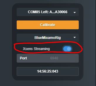 xsens_streaming