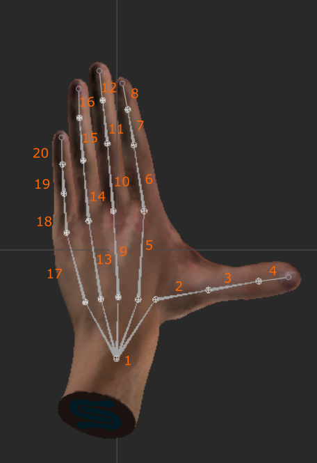 hand bone map