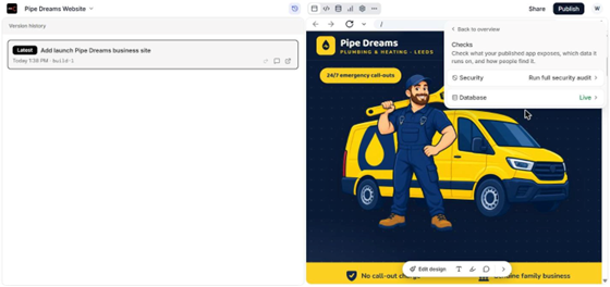 The Checks screen in the publish panel