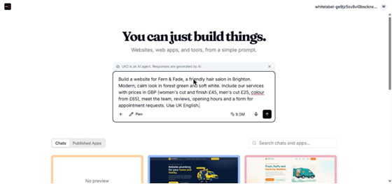 A website description typed in, with Plan selected