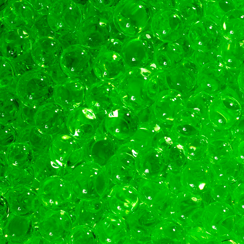 How do they absorb water?